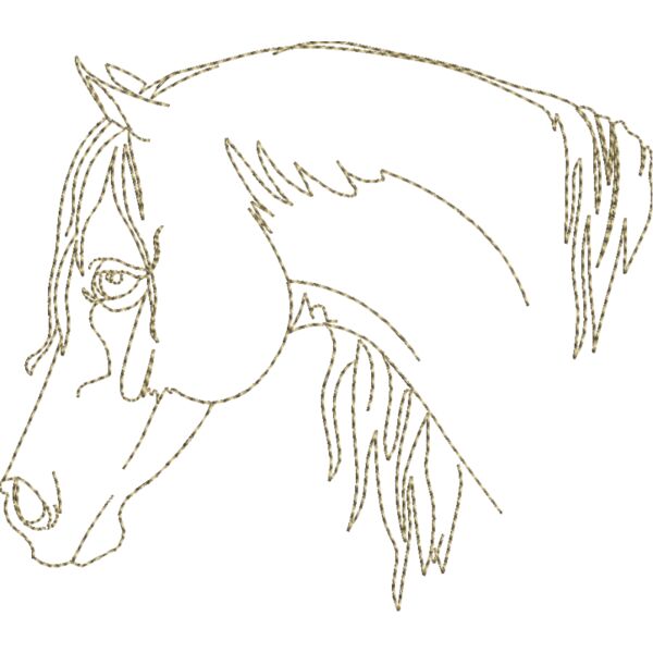 WS611 48 Thumbnail